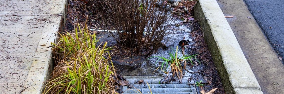 Feb image2 Feb image2