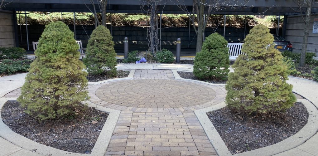 1259 & 1275 Grant Avenue