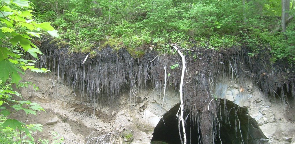 Harlem Valley Rail Trail
