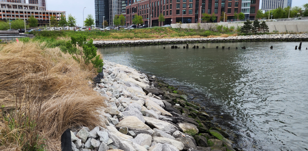Citywide Ferry Service at Hunter’s Point South Landing