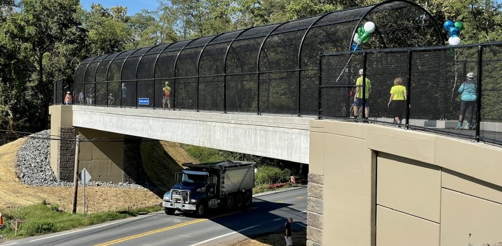 Schuylkill Trail Pedestrian Bridge Tower Ladders