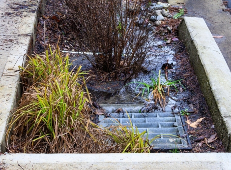 Stormwater Management in Fall