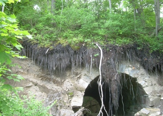 Harlem Valley Rail Trail