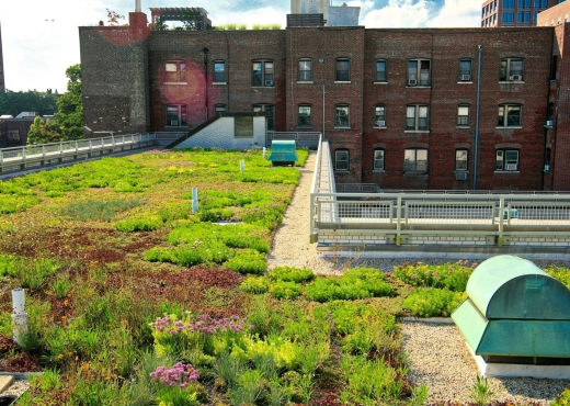 NYCDEP Green Infrastructure - School Green Roofs