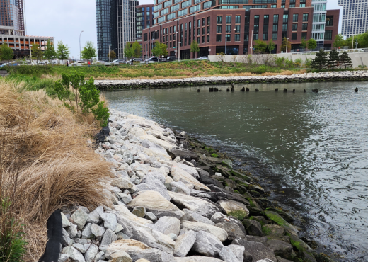 Citywide Ferry Service at Hunter’s Point South Landing