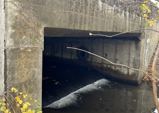 PSE&G Vauxhall Road Culvert Crossing