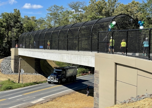 Schuylkill Trail Pedestrian Bridge Tower Ladders