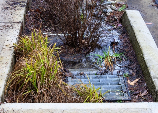 Stormwater Management in Fall